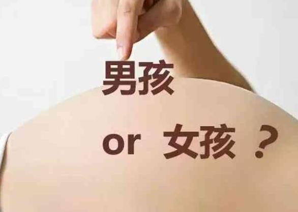 湖州供卵试管 最新湖州哪家试管医院成功率最高 ‘b超两条线男女’