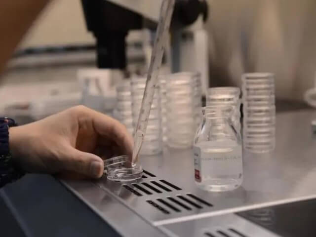 宝鸡试管供卵 最新宝鸡哪家试管医院成功率最高 ‘男孩孕肚型图片图库’