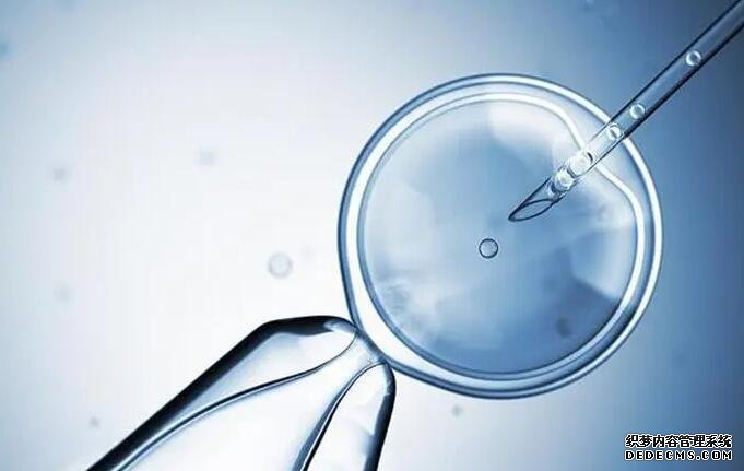 做试管婴儿后需不需要辞职?如何兼顾工作和生活
