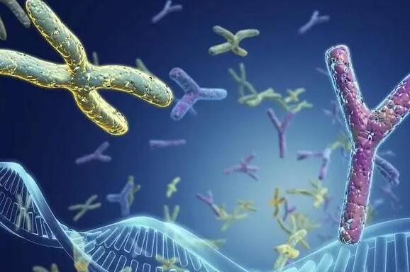 南通代生混血 南通妇幼保健院试管成功率高吗？能不能一次成功？ ‘胎儿做四维生长指标能判断男女吗’