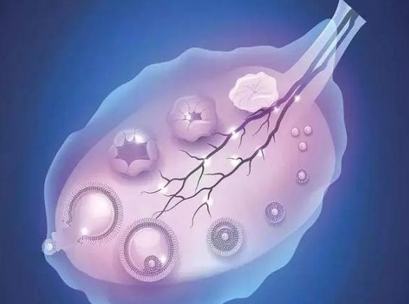 广州中山大学第六附属医院梁晓燕 广州试管成功率最高的地方 ‘营口伊人26周四维看男女准么’