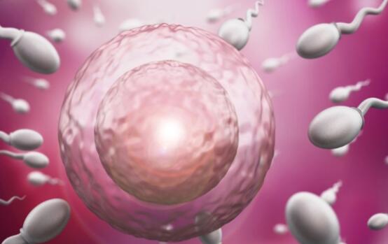 90后去做第3代试管婴儿费用多少？