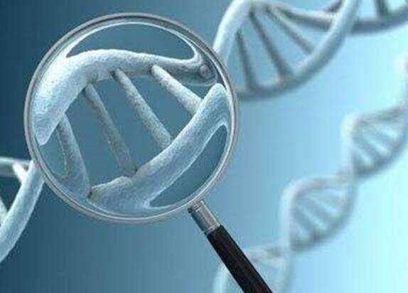 试管婴儿多少钱可以做？试管多少钱可以成功怀孕？