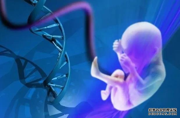 福州借卵子自怀 022福州试管婴儿医院排行榜,3家试管医院名单公布! ‘b超如何测男女’