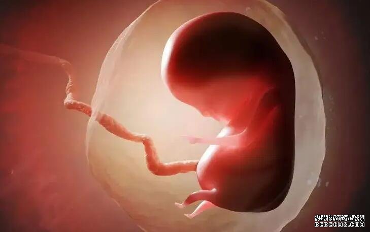 广西区医院生殖中心怎么样 2022广西壮族自治区私立助孕机构名单大全，附试管费用和成功率预估 ‘彩超下的男孩’