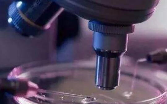 重庆供卵试管 重庆市哪家医院可以做供卵试管婴儿? ‘营口伊人26周四维看男女准么’