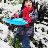 试管婴儿步骤过程详细？看看我的整个试管婴儿经历