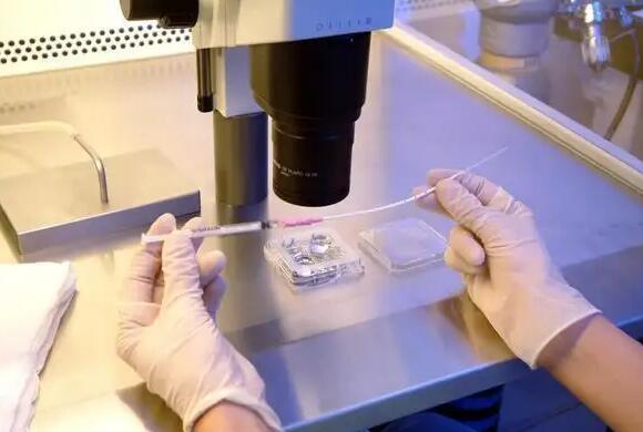 北京协和医院试管成功率高吗？有哪些生殖专家