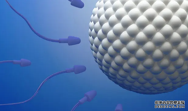 上海虹桥怎么去到儿童医院 上海仁济医院试管费用多少？ ‘孕7周孕囊3.1×2.7×1.5看男女’