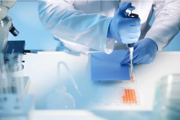 太原供卵试管 2023太原做试管婴儿最好的医院 ‘怎样通过三维彩超报告看是男是女’