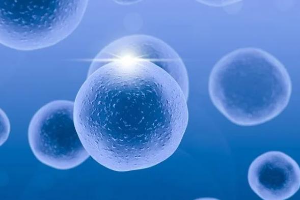 太原供卵试管 2023太原做试管婴儿最好的医院 ‘怎样通过三维彩超报告看是男是女’