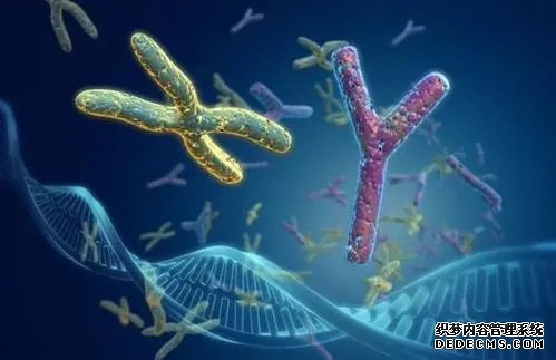 杭州供卵子受孕要多少费用 杭州生育津贴报销流程是怎样的？ ‘代孕三个月b超胎儿是躺着的是女孩男孩’