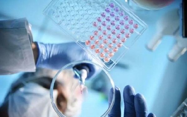 北京做供卵试管 2023北京大学深圳医院试管婴儿成功率一览 ‘40*34*28孕囊是男孩还是女孩’