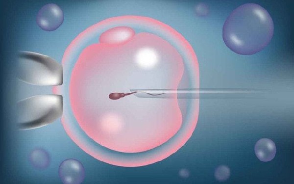  记录试管经历，希望能有好孕呀~