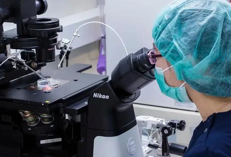上海供卵试管过程 上海同济医院生殖医学中心 ‘做四维时,趴着的都是男孩吗’