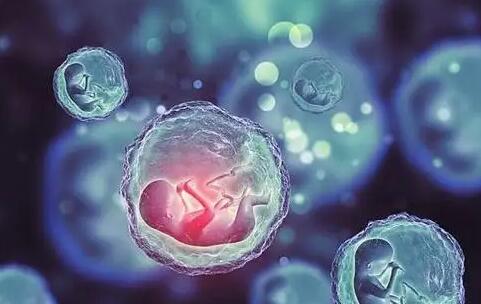 武汉试管第三代 2023年武汉人民医院试管婴儿怎么样？ ‘怀孕B超孕囊大小看男孩女孩’