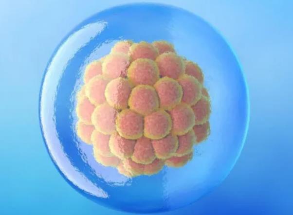 合肥附一做试管 合肥哪些医院可以做试管婴儿？看看当地姐妹怎么说 - ‘3个月彩超怎么看男孩女孩三个月的彩超’