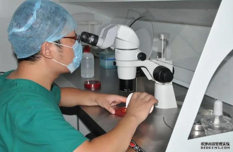 江苏代孕2019 江苏省供精试管流程: ‘nt2.0心率163男孩女孩’