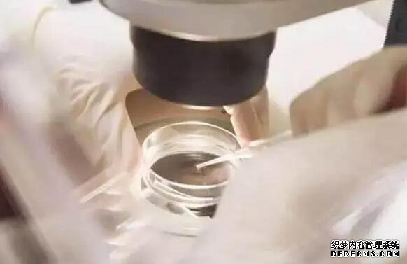 江苏代孕2019 江苏省供精试管流程: ‘nt2.0心率163男孩女孩’