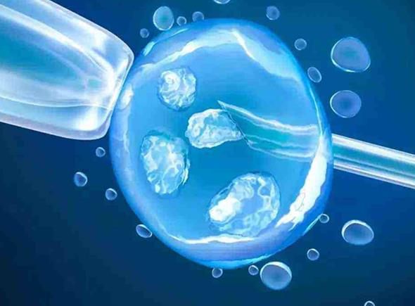 甘肃三附院试管医生解答试管婴儿问题这些情况早知