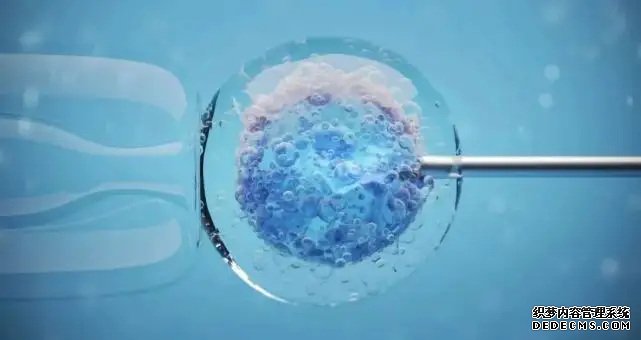 二胎想生女儿怎样备孕,二胎想要女儿有什么办法吗