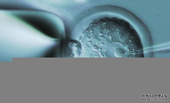 2022年上海瑞金医院做供卵三代试管婴儿生男孩费用构成-北京测男女机构