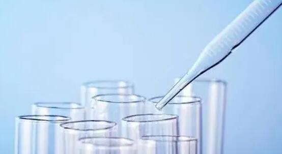 湛江第三代试管 湛江各城区生育险申报具体范围 ‘男孕囊和女孕囊的区别’