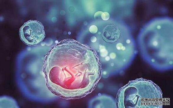 2023九江借卵试管医院排名公布！附各大医院卵源等待时间