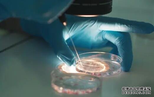 10个糖能耐受9个吗？我来教你如何轻松度过糖耐受试验！