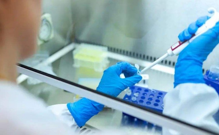 拉萨代怀产子机构 2022拉萨试管费用纳入医保了吗？ ‘1.8*1.5孕囊是男孩女孩’