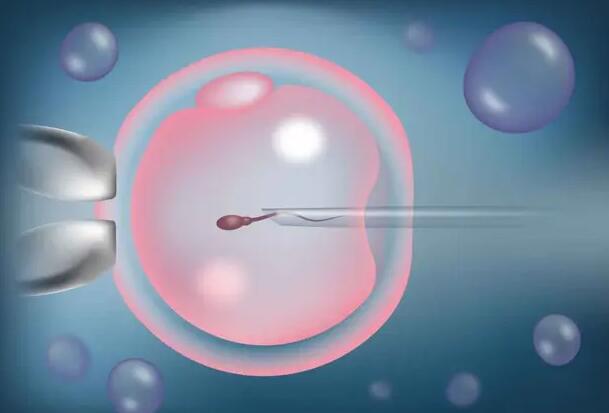 了解正规的美国试管婴儿促排/取卵流程