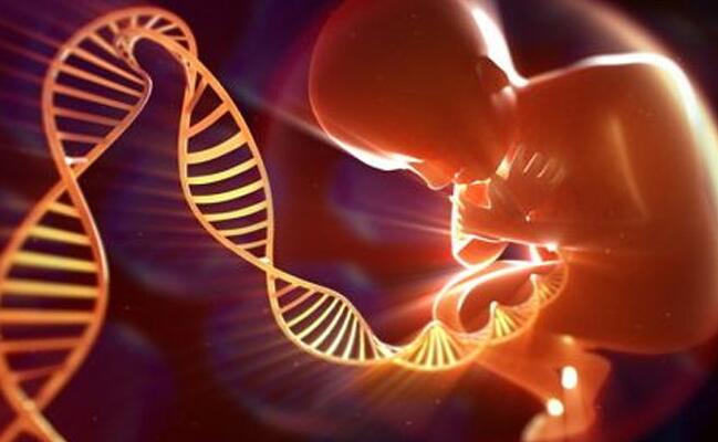 试管婴儿取卵痛苦吗(试管取卵时疼吗？)