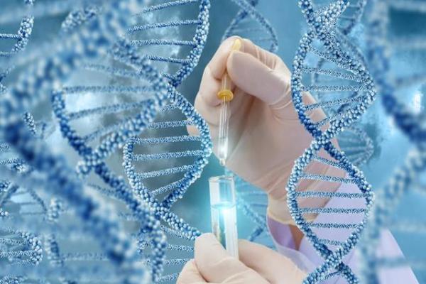 杭州供卵试管哪里找 杭州第三代试管婴儿价格一般多少钱? ‘代孕用酒精和尿液测男女图’