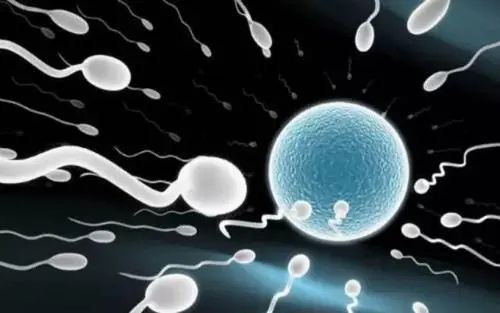 北京北医三院试管婴儿费用多少？技术怎么样？