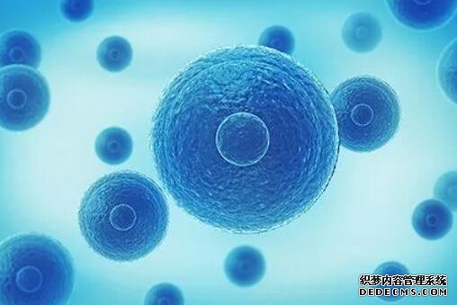 这四种类型的孕妇最容易生唐氏儿!特别是第一个