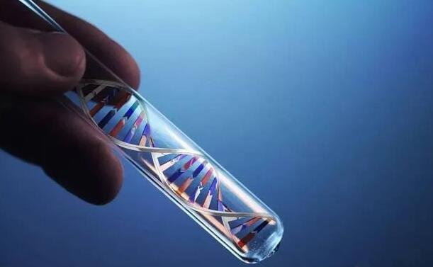 泰国试管婴儿的海外医疗主要过程有哪些?