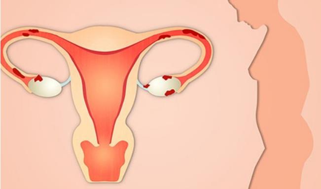 天津三代试管成功率找南方试管机构 天津中心妇产科医院 ‘七个月b超女翻男的例子’