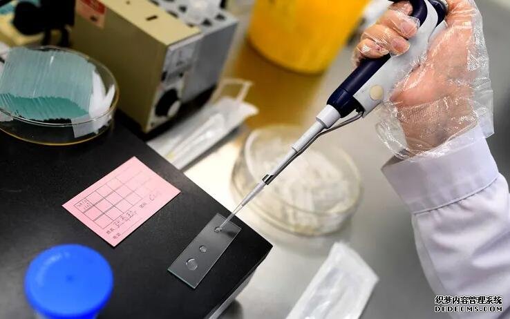 厦门靠谱借腹生子中介 厦门第三代试管婴儿医院费用明细表 ‘怀女儿跟怀儿子b超区别’