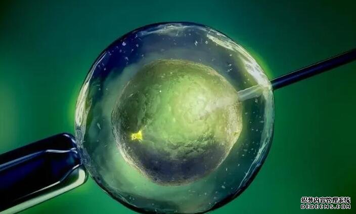 广州借卵试管资讯 广州能做供卵试管公立的医院有哪些? ‘看男孩女孩做b超能看出来吗’