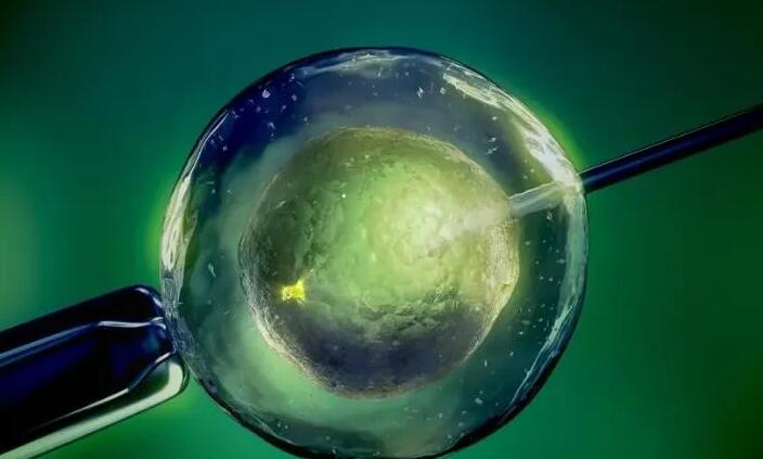 长沙航天试管 长沙宁儿妇产医院试管婴儿成功率 ‘b超单看双顶径和股骨长能看出男女吗?’