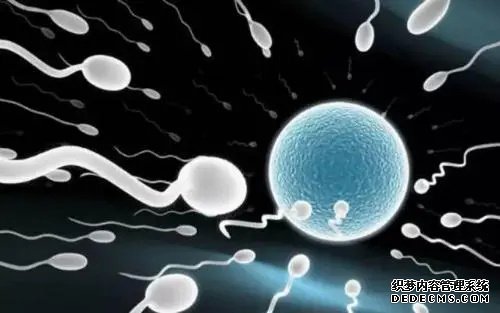 女子上环的几种方式介绍,女人上环好不好