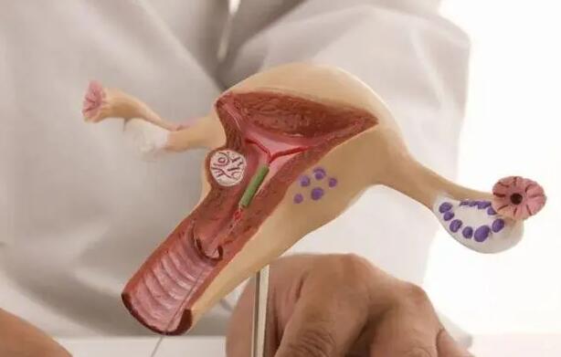 长春零风险包生男孩 022年长春试管婴儿助孕生男孩的医院名单,4家试管医院仅一家可行! ‘男胎和女胎双顶径区别’