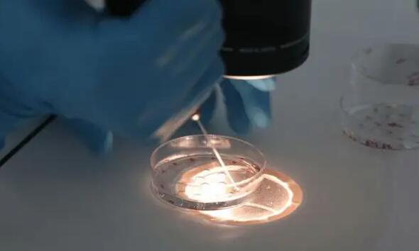 河南做三代试管 河南17家供卵生殖中心名单大全 ‘孕囊46mm是男孩女孩’