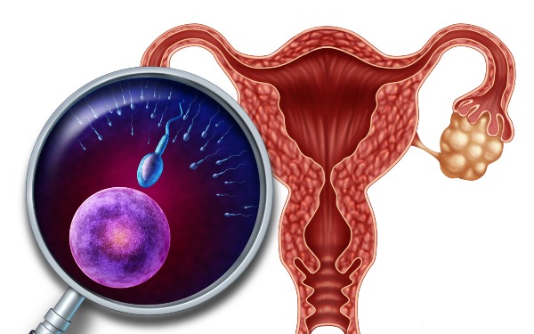 湖南大学湘雅医院的生殖科怎么样 湖南成功率排名前十的试管医院名单 ‘双顶径22和股骨长8看男女’