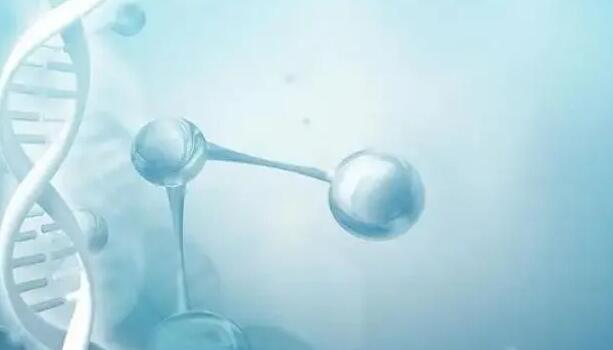 百色试管私人 2023百色试管费用纳入医保了吗？ ‘孕囊19×9×17是男是女’