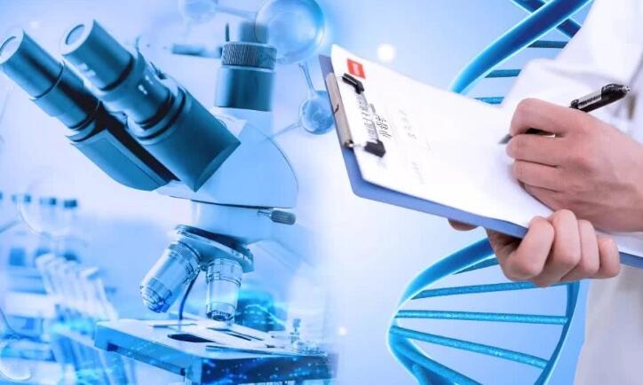 试管做昆明医院 昆明九洲医院试管婴儿多少钱? ‘孕囊大小看男女方法’