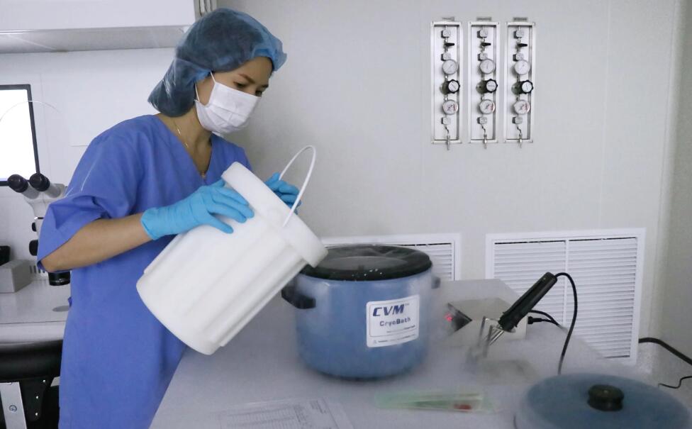 上海哪家做试管婴儿成功率最高？如何提高试管成功率？