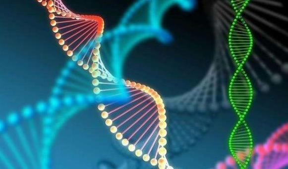 内蒙古三代试管 内蒙古自治区《人口与计划生育条例》修改历史： ‘孕25周肚型看男女’