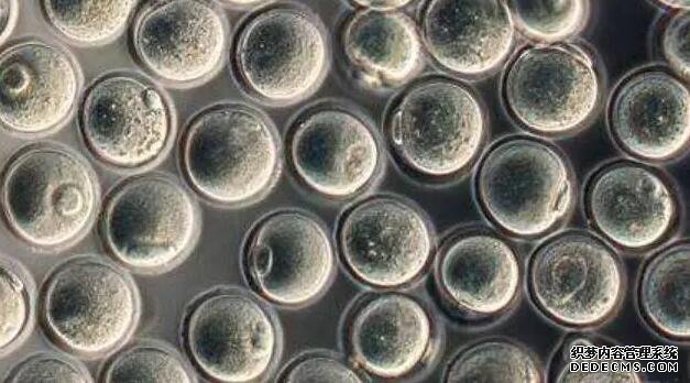 孕妇胀气是什么原因,孕妇胀气怎么办快速排气