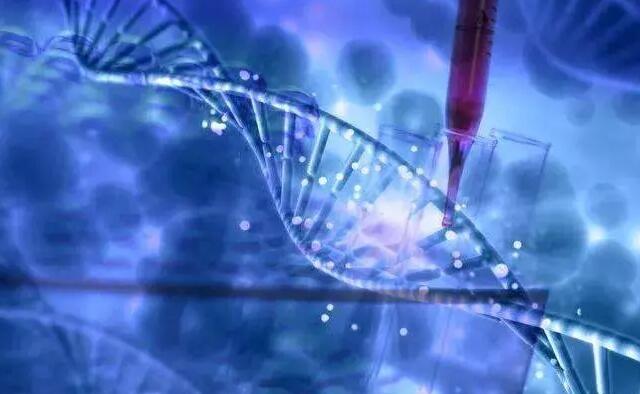 供卵试管武汉 2023武汉协和医院做三代试管筛查一个胚胎要多少钱？ ‘彩超下的男孩’